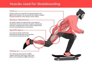 muscle building skatebboard