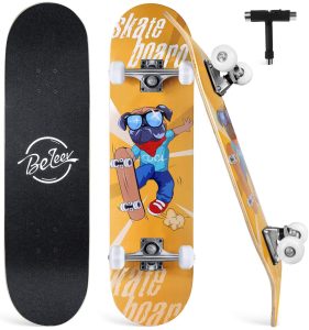 best skateboard for beginners kid