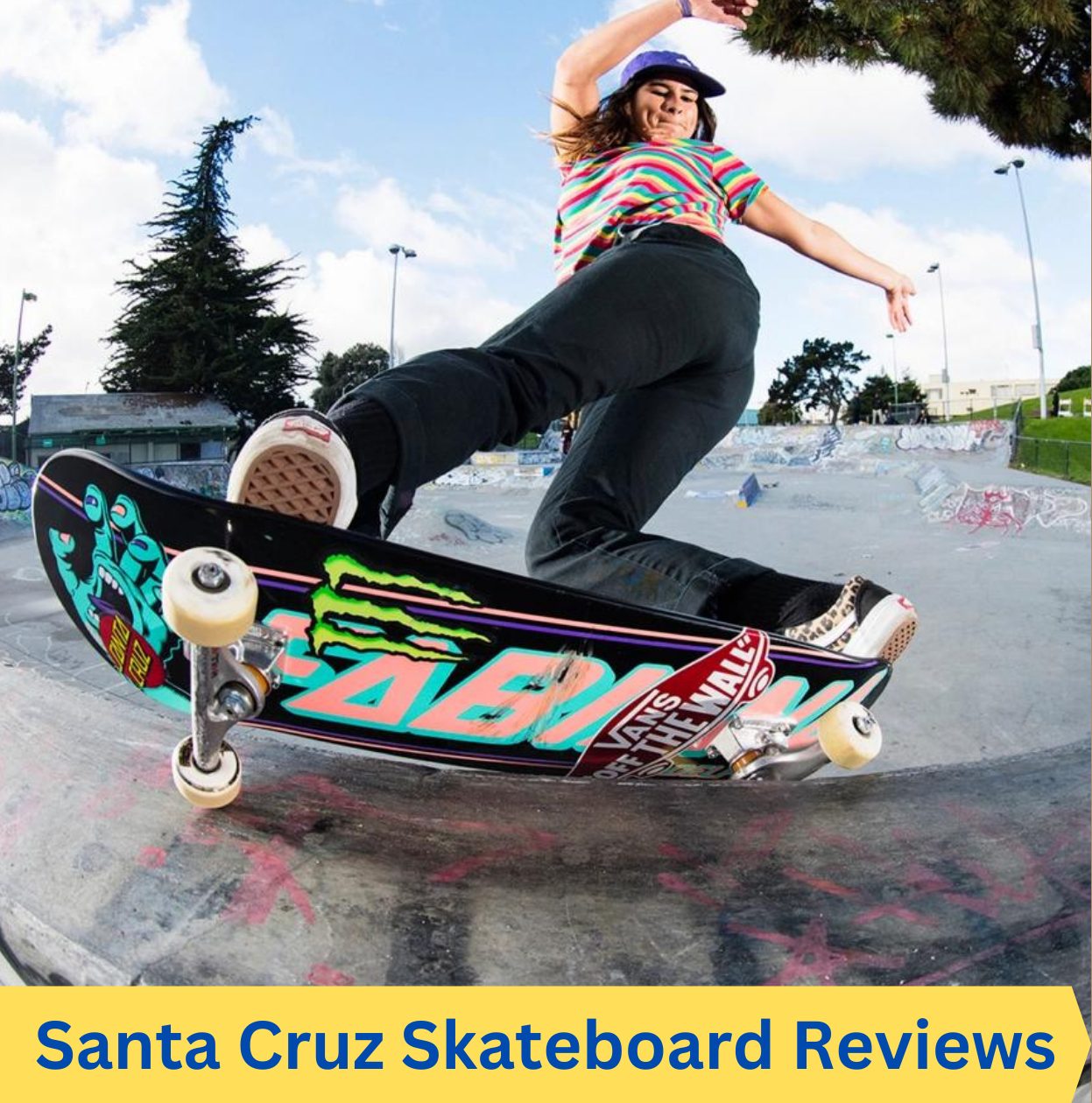 Santa Cruz skateboard reviews