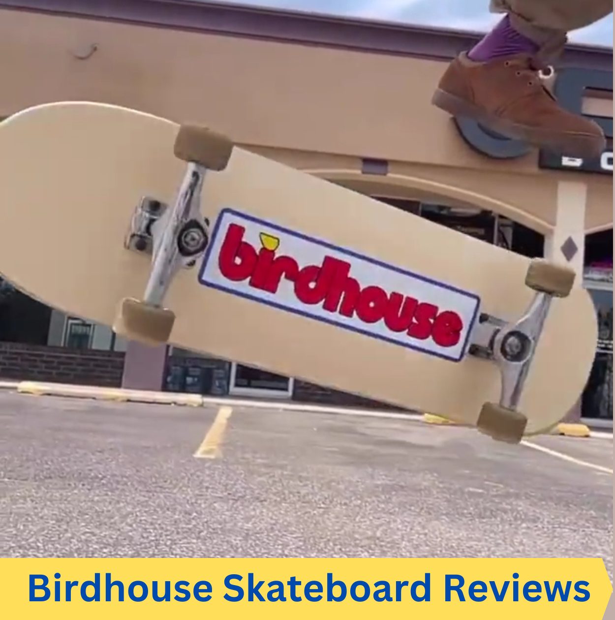 Birdhouse Skateboard Reviews Are They Good For Beginners